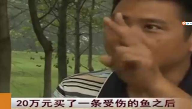 创作者
            20万买两条丧命的鱼，3年后赚了上亿，他是是不是努力做到的？(图13)