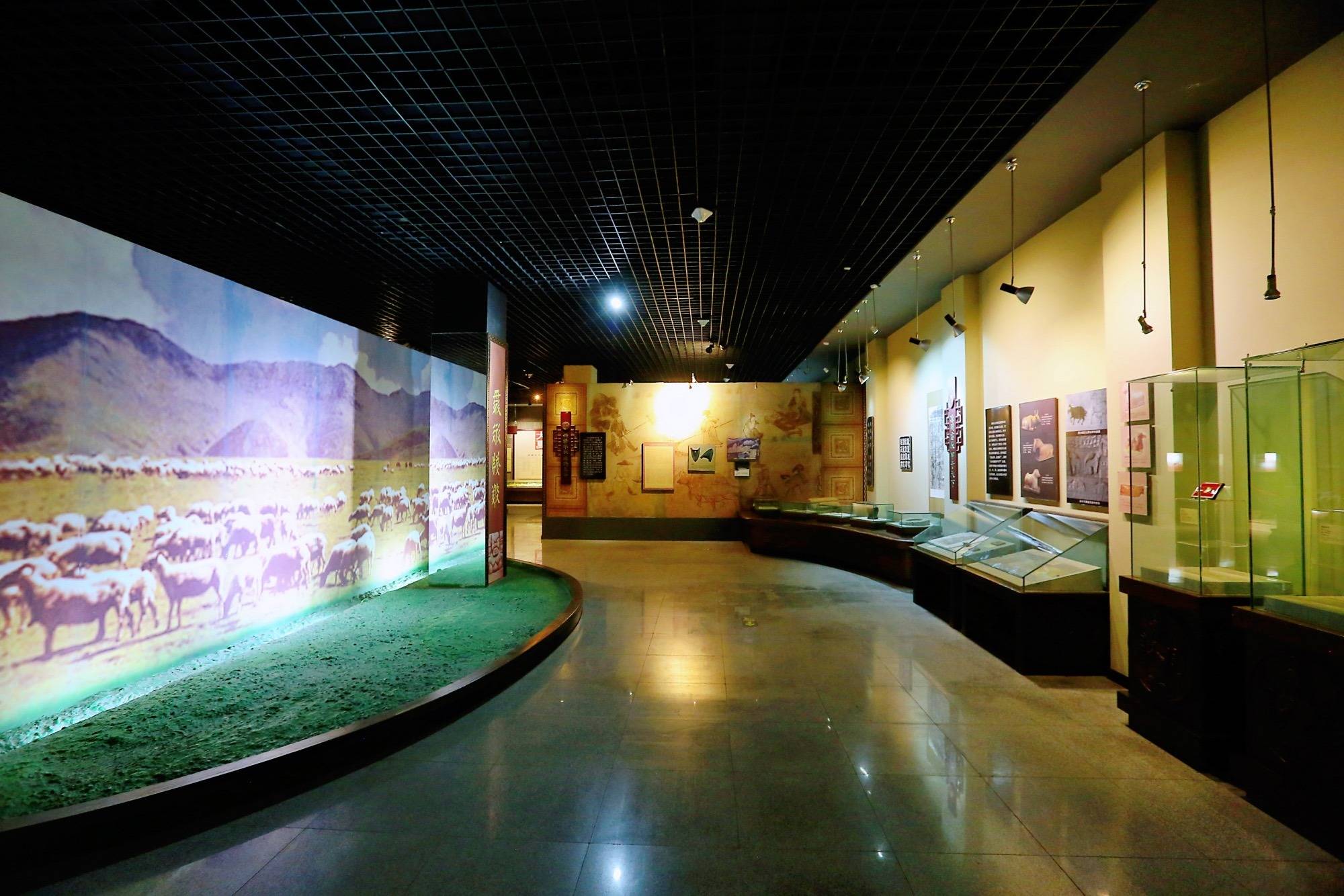 武威西夏博物馆,探寻西夏文明,触摸历史文化,看神秘的镇馆之宝