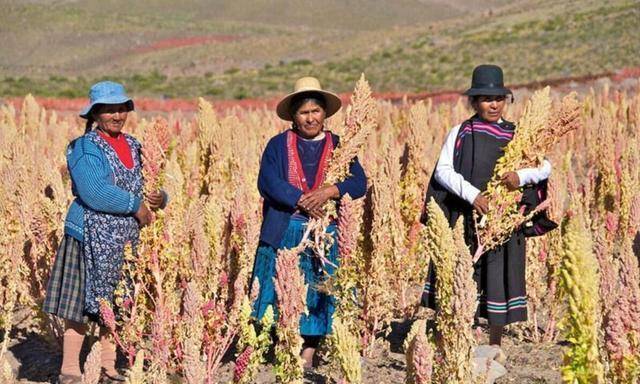 为此,直到现在,拥有470年历史的玻利维亚,人均gdp还不到3000多美元,在