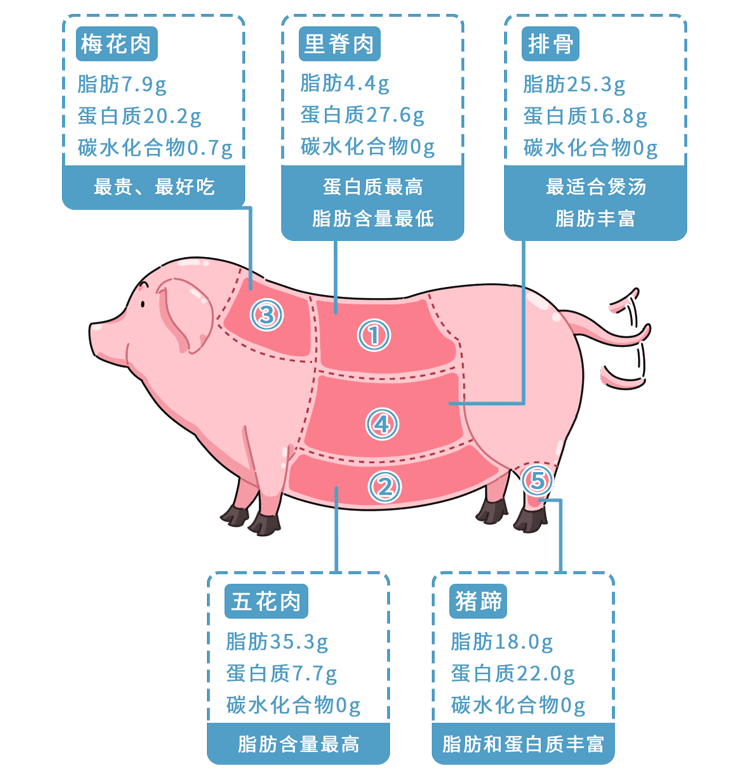 猪肉几号肉图解图片