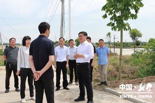 新野县委书记赵红亮调研指导"三夏"生产和农业产业发展工作