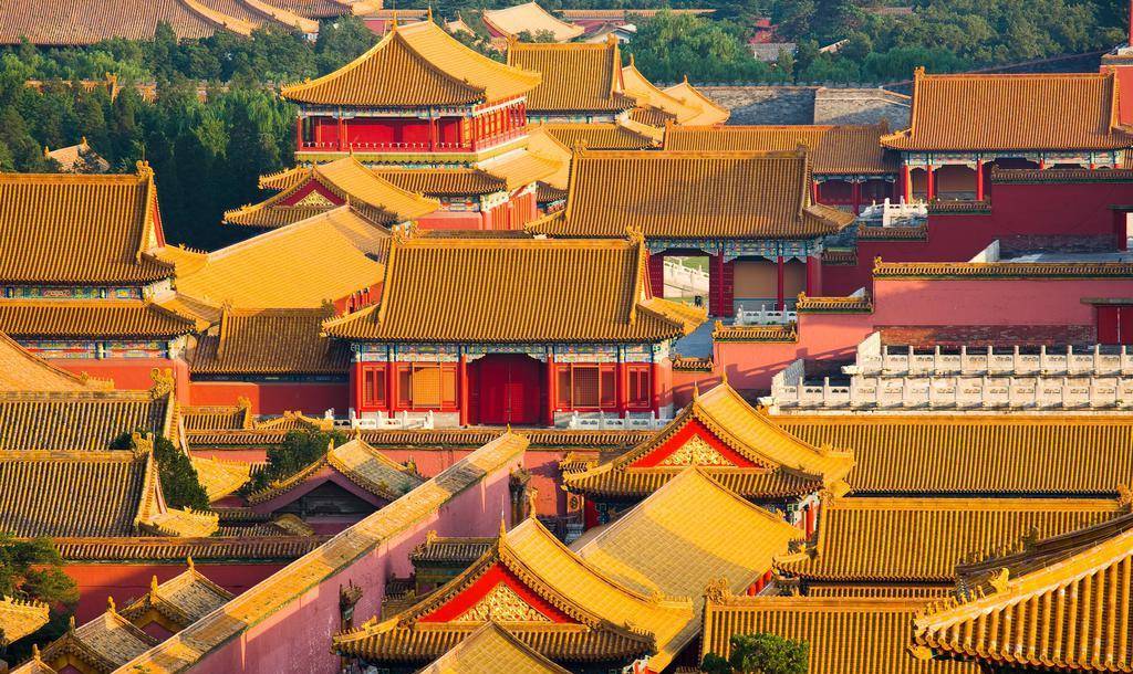 故宫的房顶从没有鸟粪,六百多年了为何如此干净?