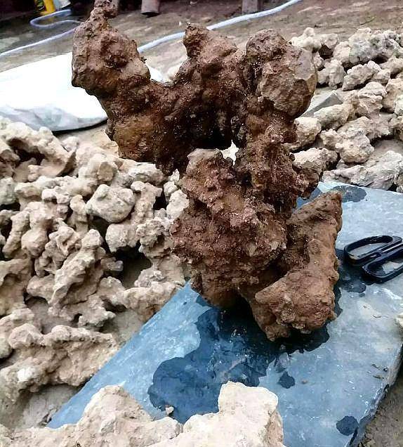 本研究对料姜石的物化性能进行了初步评价,结果表明,料姜石对水中部分