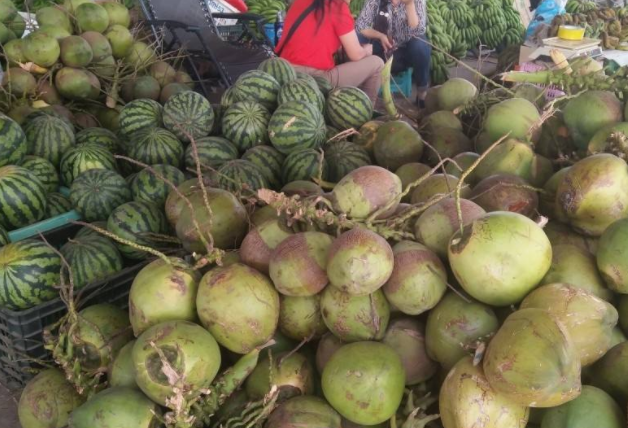 越南缅甸大量水果滞销腐烂,只因为这个原因,网友:活该!