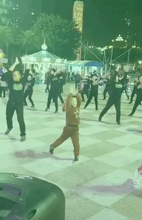 后来查了下,人家才两岁,就已经会跳上百个广场舞了,不愧是和奶奶们混