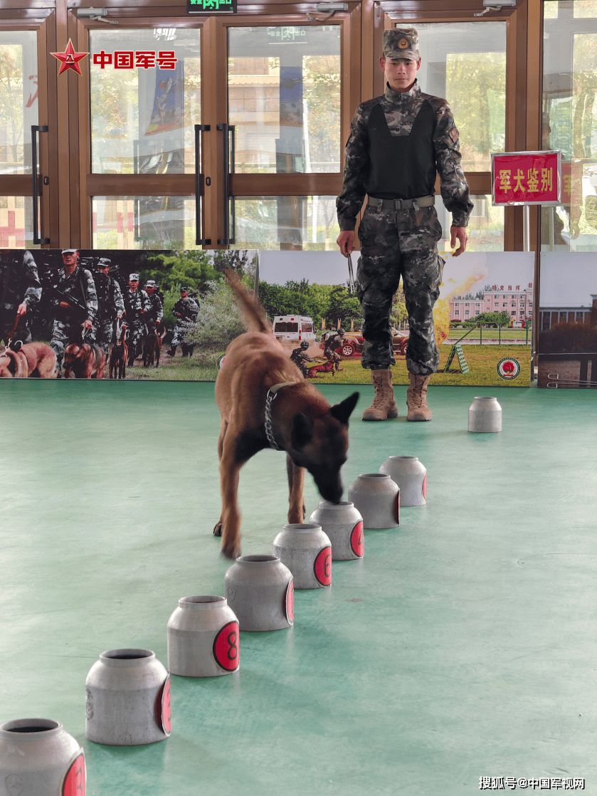 武警广州警犬基地政委图片