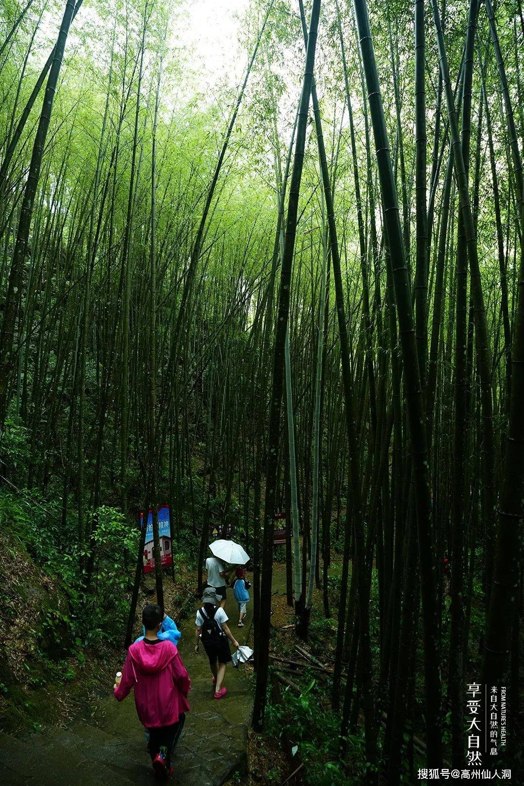 个旧仙人洞景区图片