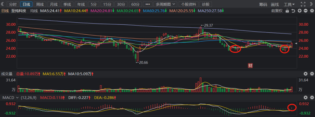 国家大基金持仓 中芯国际,新签订单超130亿,这只龙头依然有很大成长