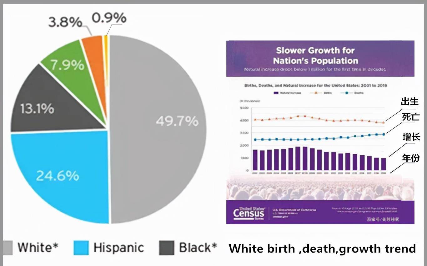 美国人种构成扇形图图片