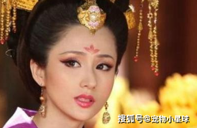 向皇帝告状,皇帝说了8个字,至今受用_郭子仪_唐代宗_郭暖