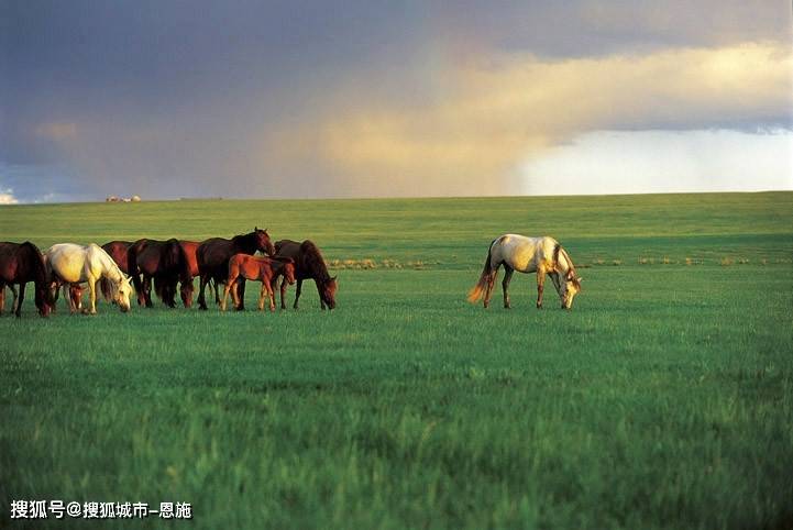 去内蒙旅游5天怎么玩比较划算?