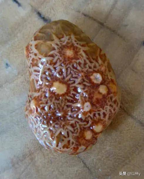 世界顶级极品玛瑙,简直美爆了