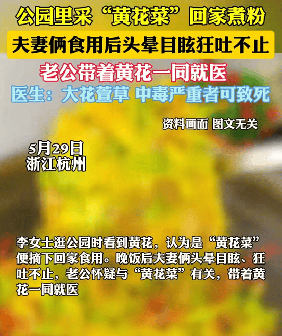 他们被一片盛开的橙黄色花朵所吸引,这些花朵形状优美,颜色鲜艳,散发