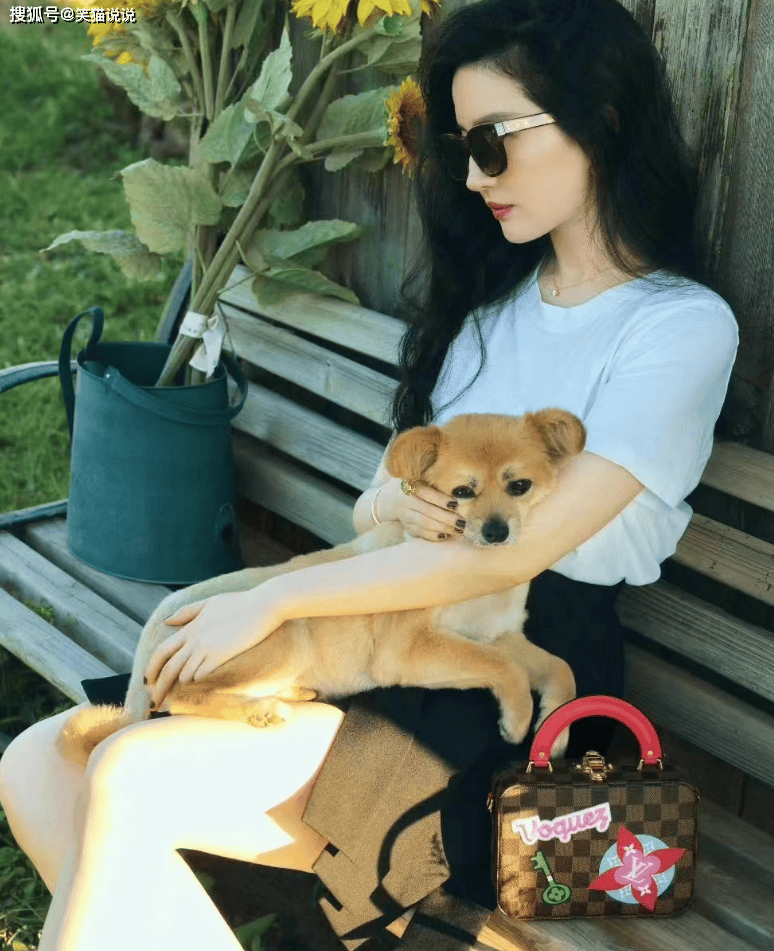 刘亦菲晒春游照,草地上席地而坐好自在,与爱犬合照好悠然