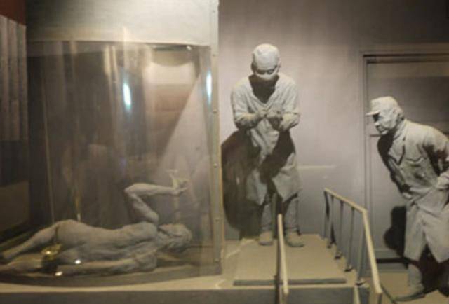 731部队所说的"圆木"是什么?实验前还被拍"真空"照片