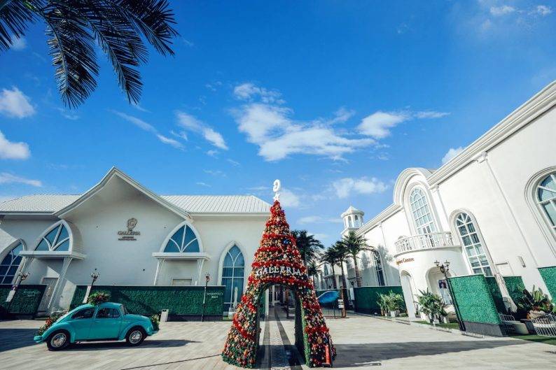 1亿元战略合作!格乐利雅又一重大突破