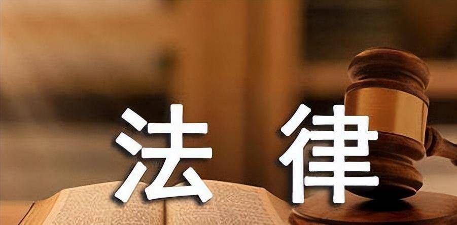 湖北版"孙小果"林明学:背后保护伞触目惊心,逃过死刑当老板