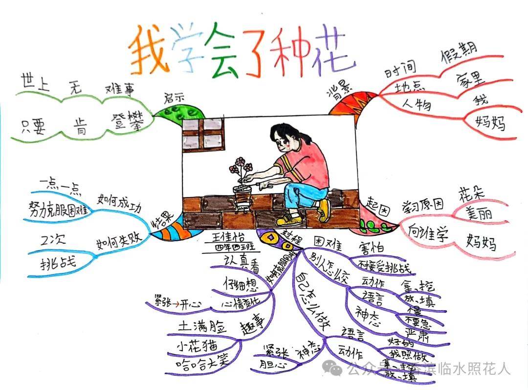 思维导图作文