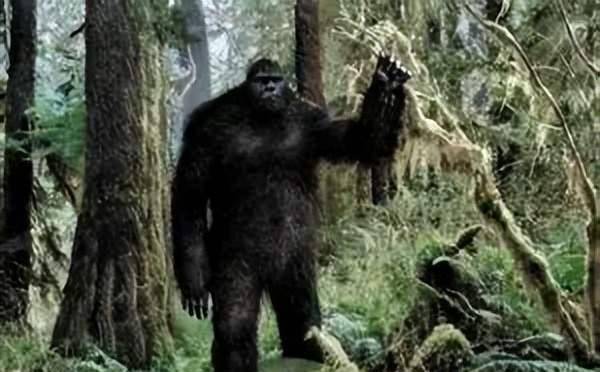 考古学家希望筹集一千万,组织寻找野人,却遭到质疑:你这是作秀
