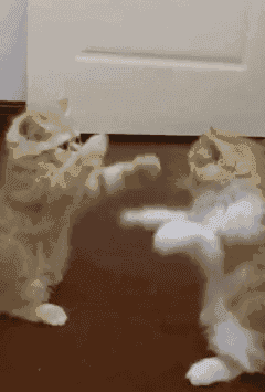 哈哈哈,太搞笑了.不知道大家喜欢哪