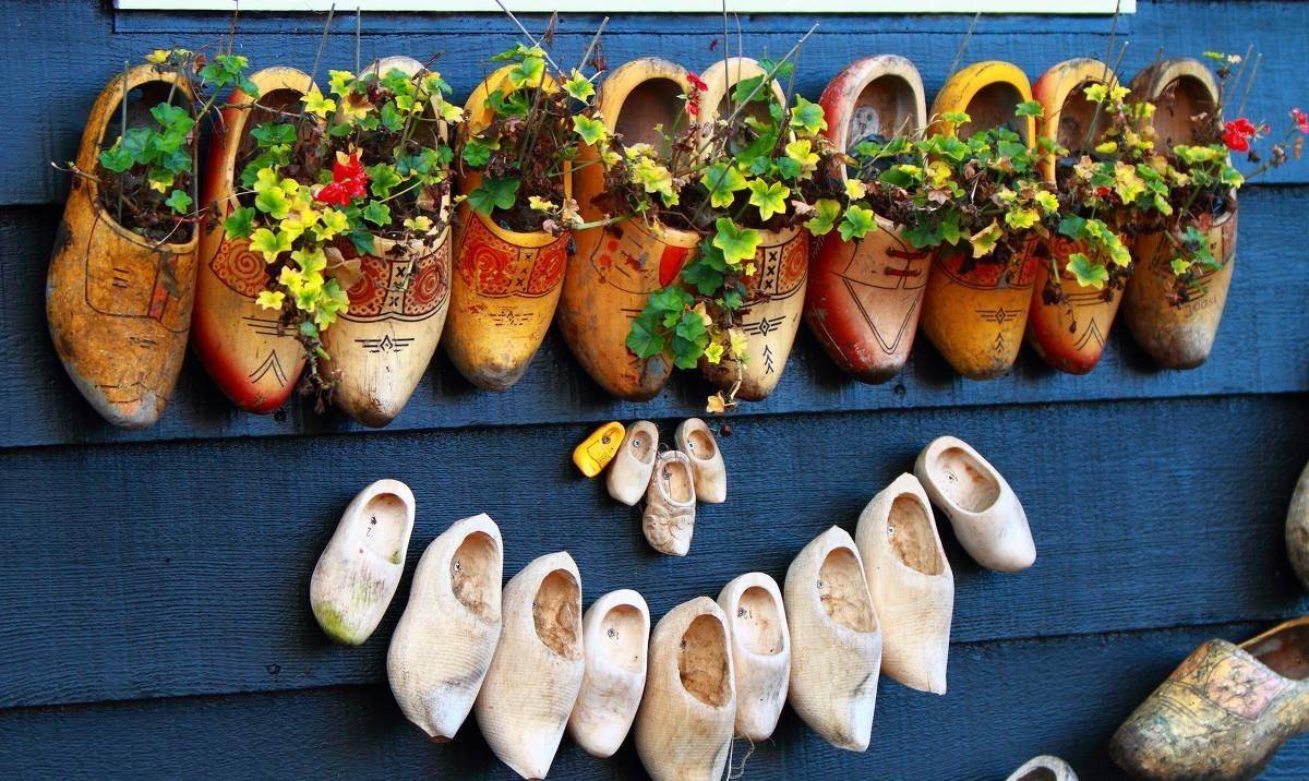 这东西是荷兰的象征,对荷兰人有重要意义,你知道是什么吗?