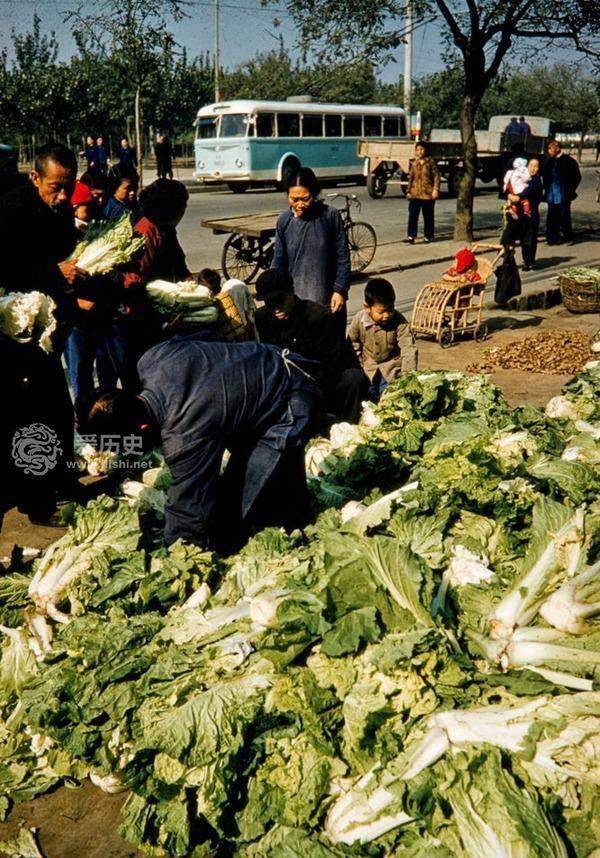 你没见过的50年代北京彩色照片温暖阳光下人们享受生活