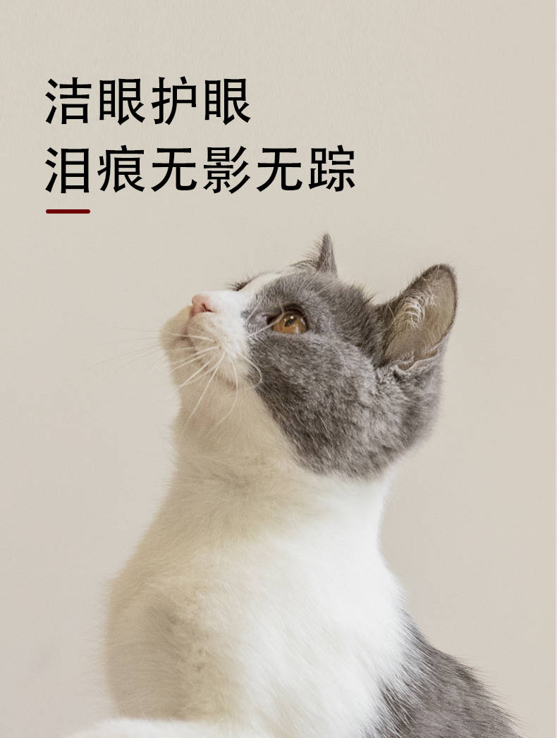 真宠良品:如何理解和应对猫的泪痕问题