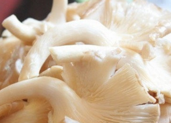 四月了,平菇别只知道用来炒了,学会这种新做法,外酥里嫩超好吃