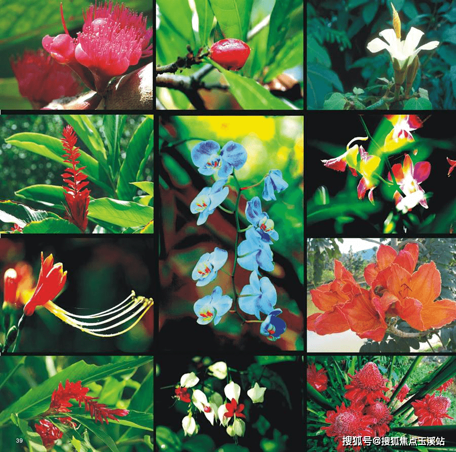 海南万宁兴隆聚园新天地开盘时间-楼盘动态-项目最新消息