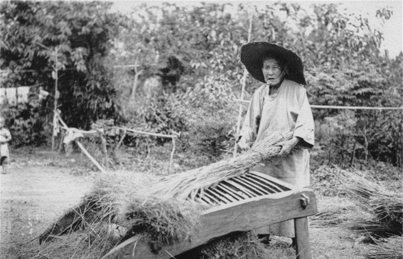 晚清农民有多苦?图1农民用力打谷子,图4贫穷孩子帮父母拉磨碾米