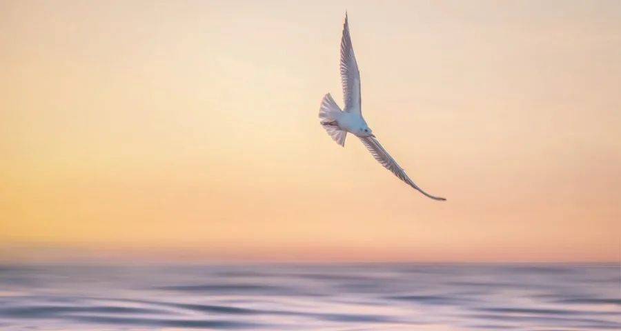 618鏖战正酣！家电线下渠道的危急时刻真来了-家电圈官网