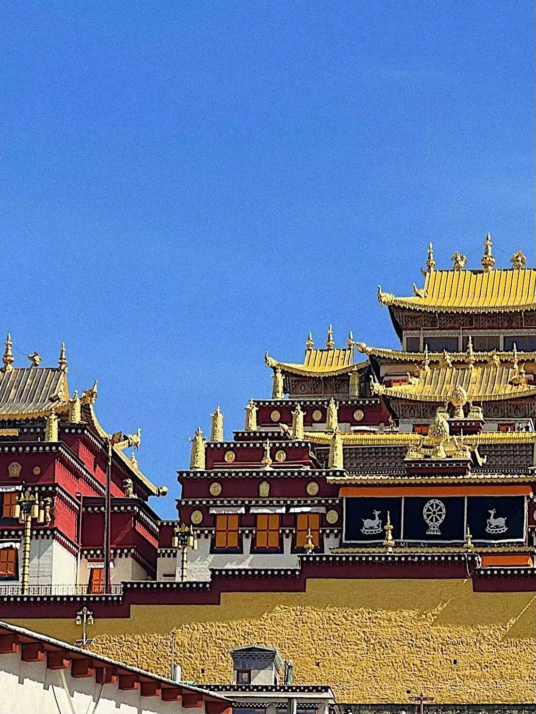 西藏旅游路线推荐,西藏旅游必玩景点推荐,经历分享_拉萨_洛桑_旅行社
