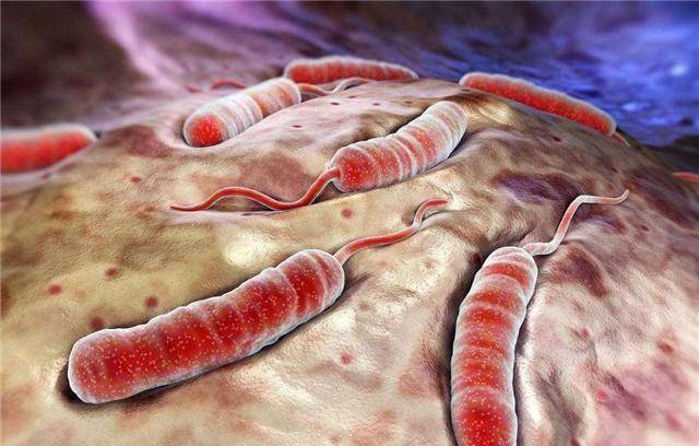 1820年的清朝:瘟疫与谣言相伴,一个祸乱人间,一个惑乱人心