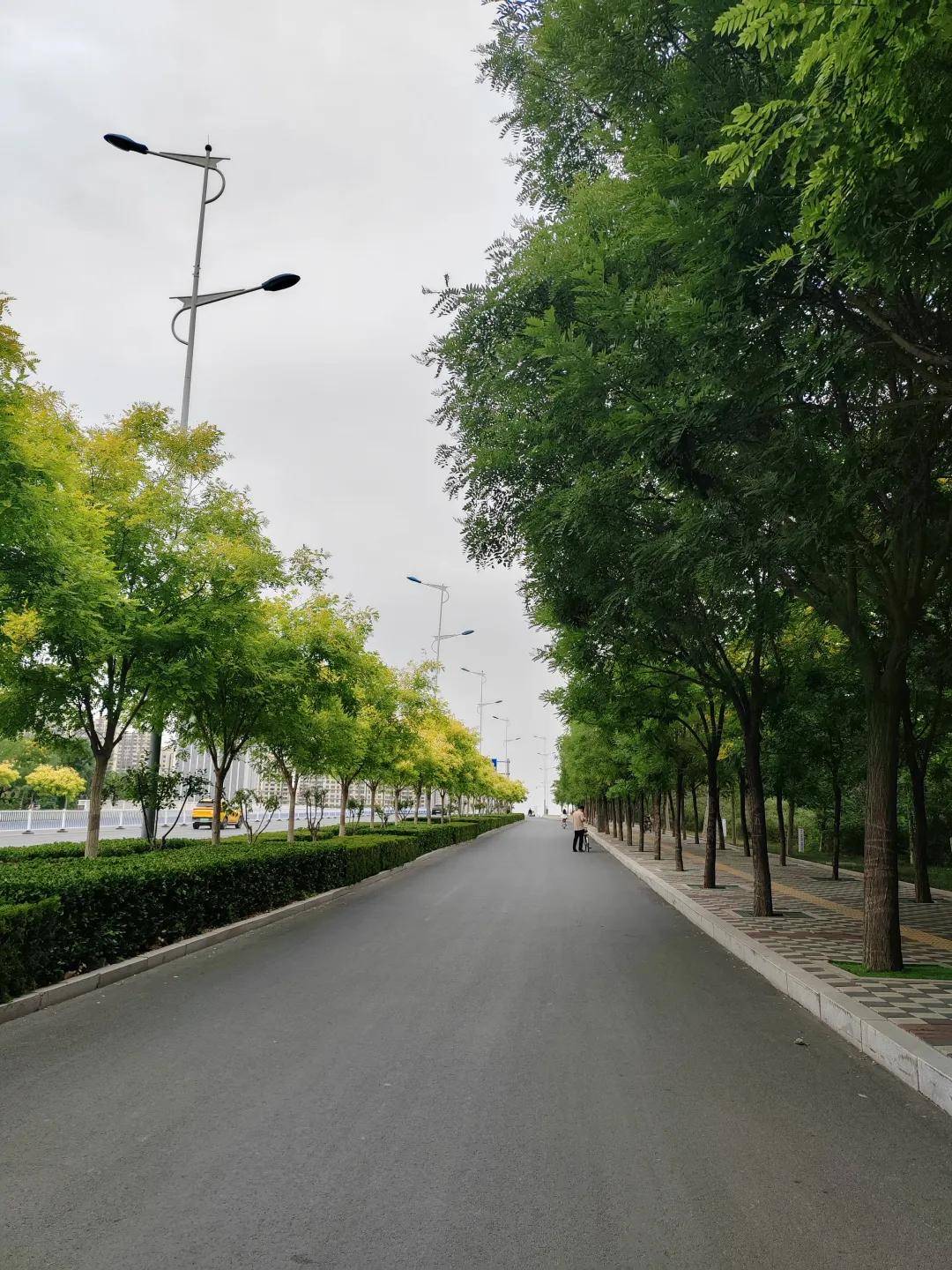 衡水市桃城区郑家河沿镇风光掠影