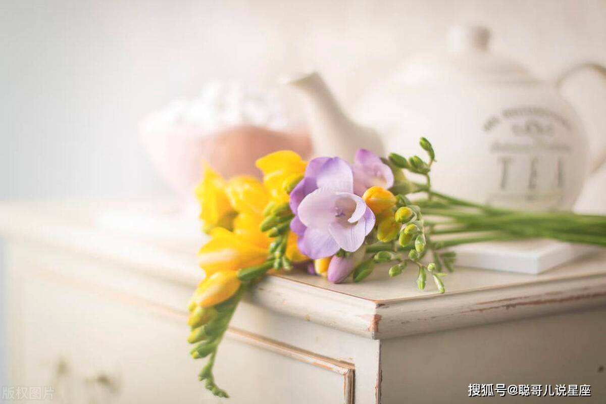 不善言辞,却会把柔情融入点滴生活的星座