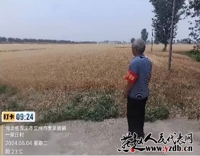 定州市李亲顾镇全面启动"三夏"期间秸秆禁烧工作