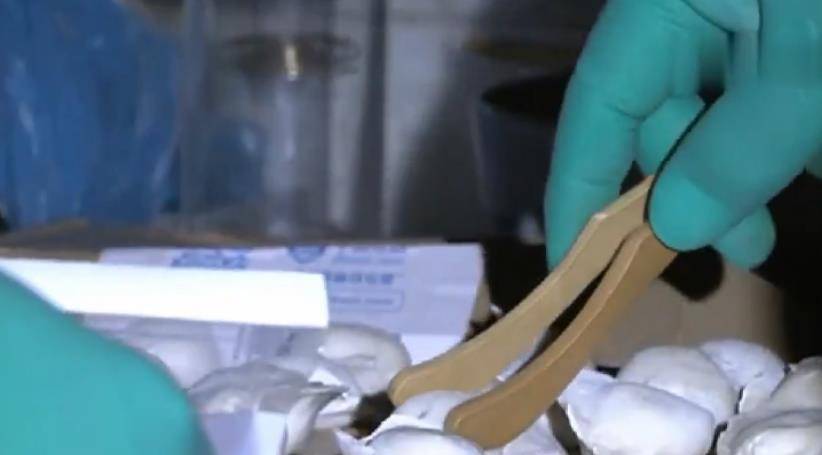 2015年,天津一家四口吃馄饨,次日3人丧命,雨和风扇都是诱因