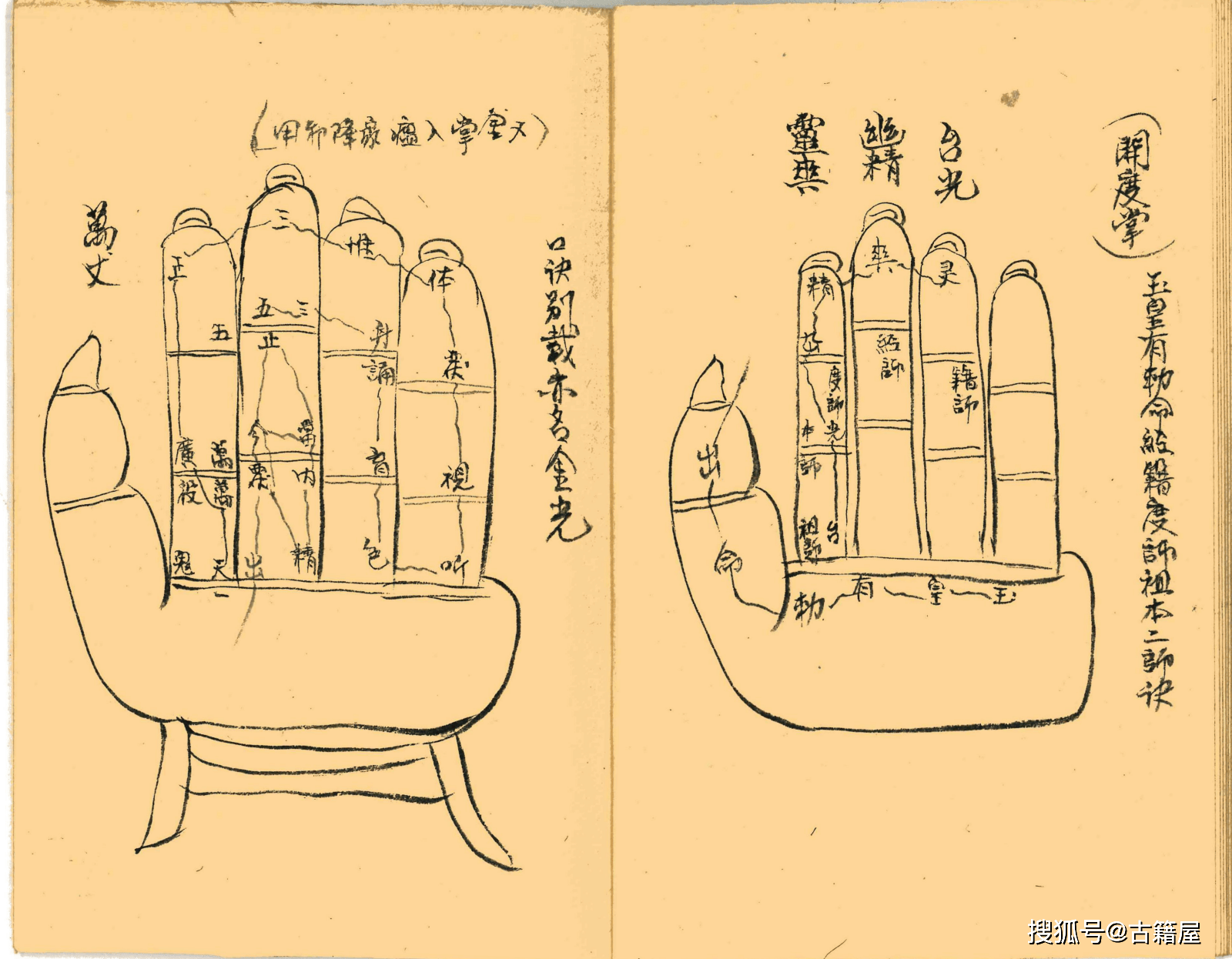 道家古籍《掌诀》清抄本