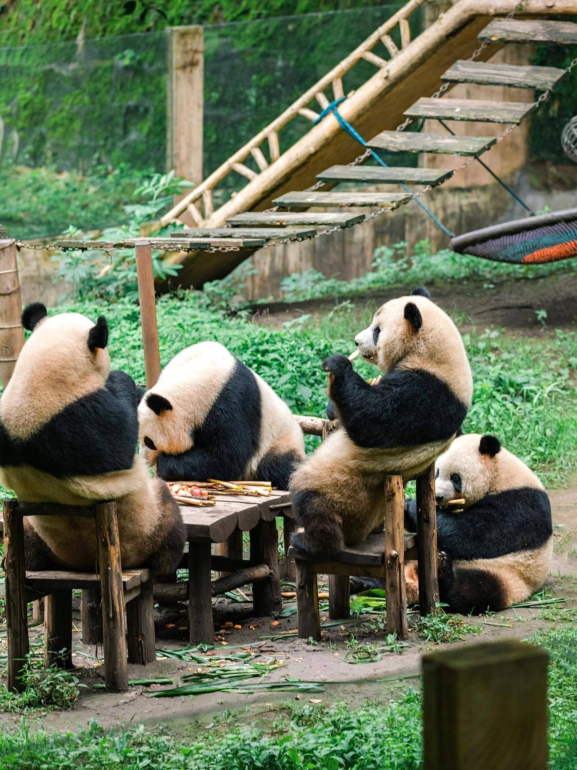 结伴去重庆旅游攻略,重庆四天旅游详细攻略重庆旅游四天三晚攻略