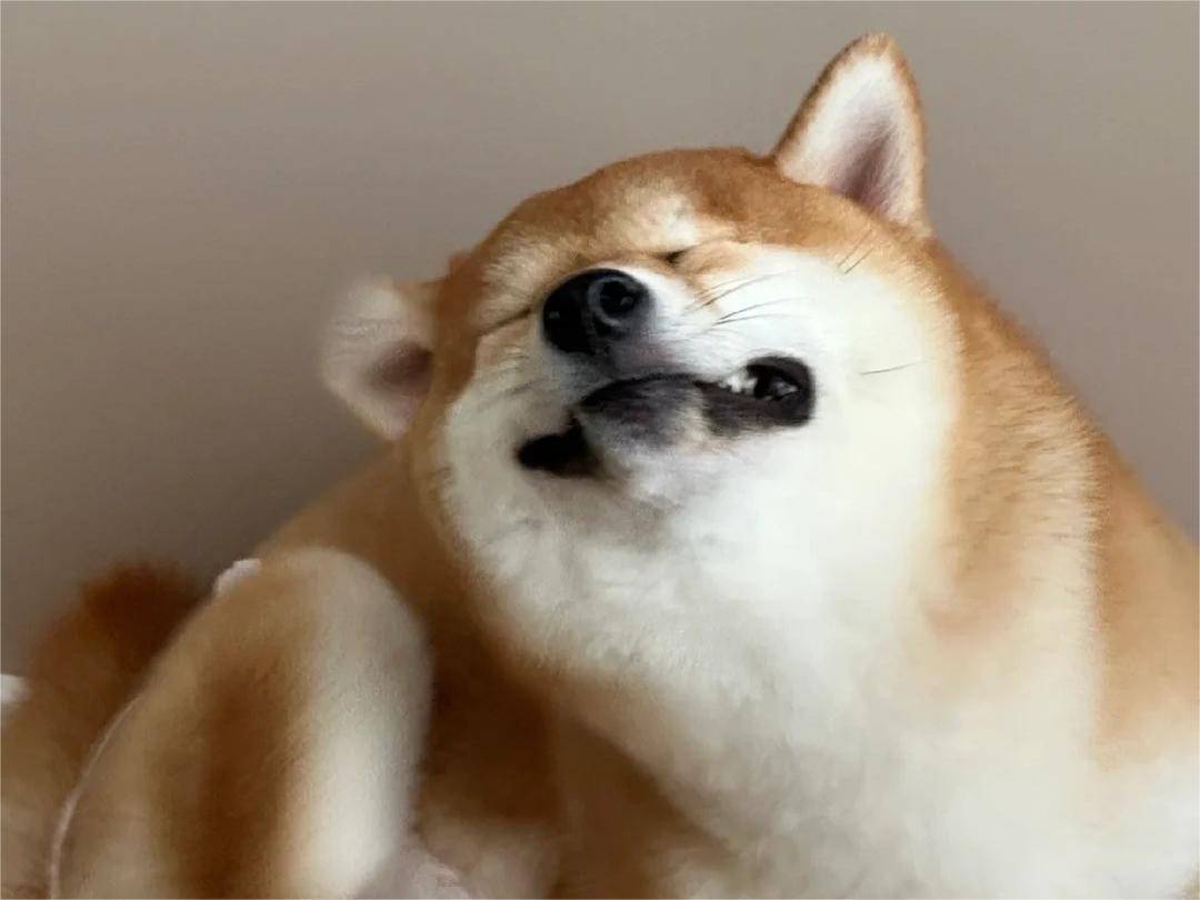 过敏原_补充_环境