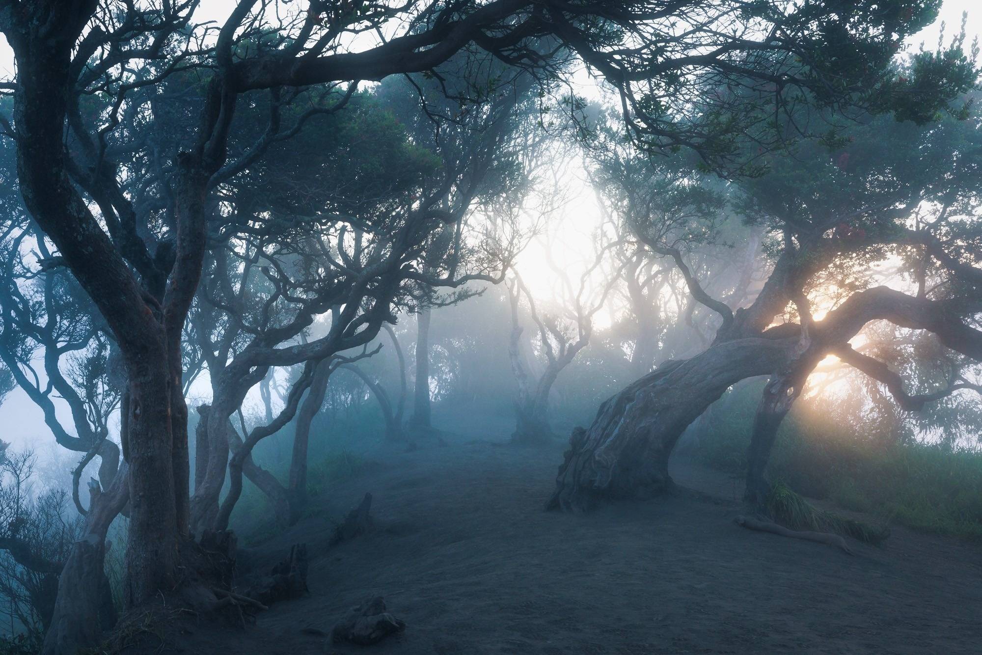 火山,雨林与沙滩的交汇 佳能eos r5全画幅相机行摄印尼