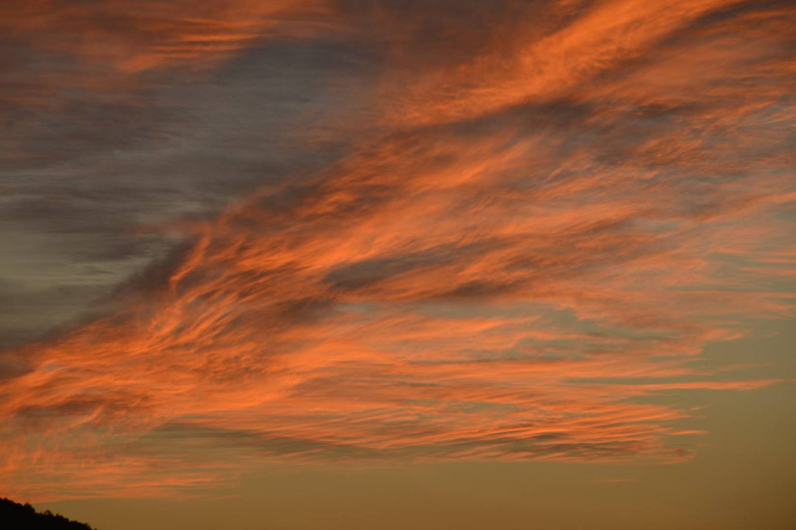 狱中杂记(2018年8月30日)
