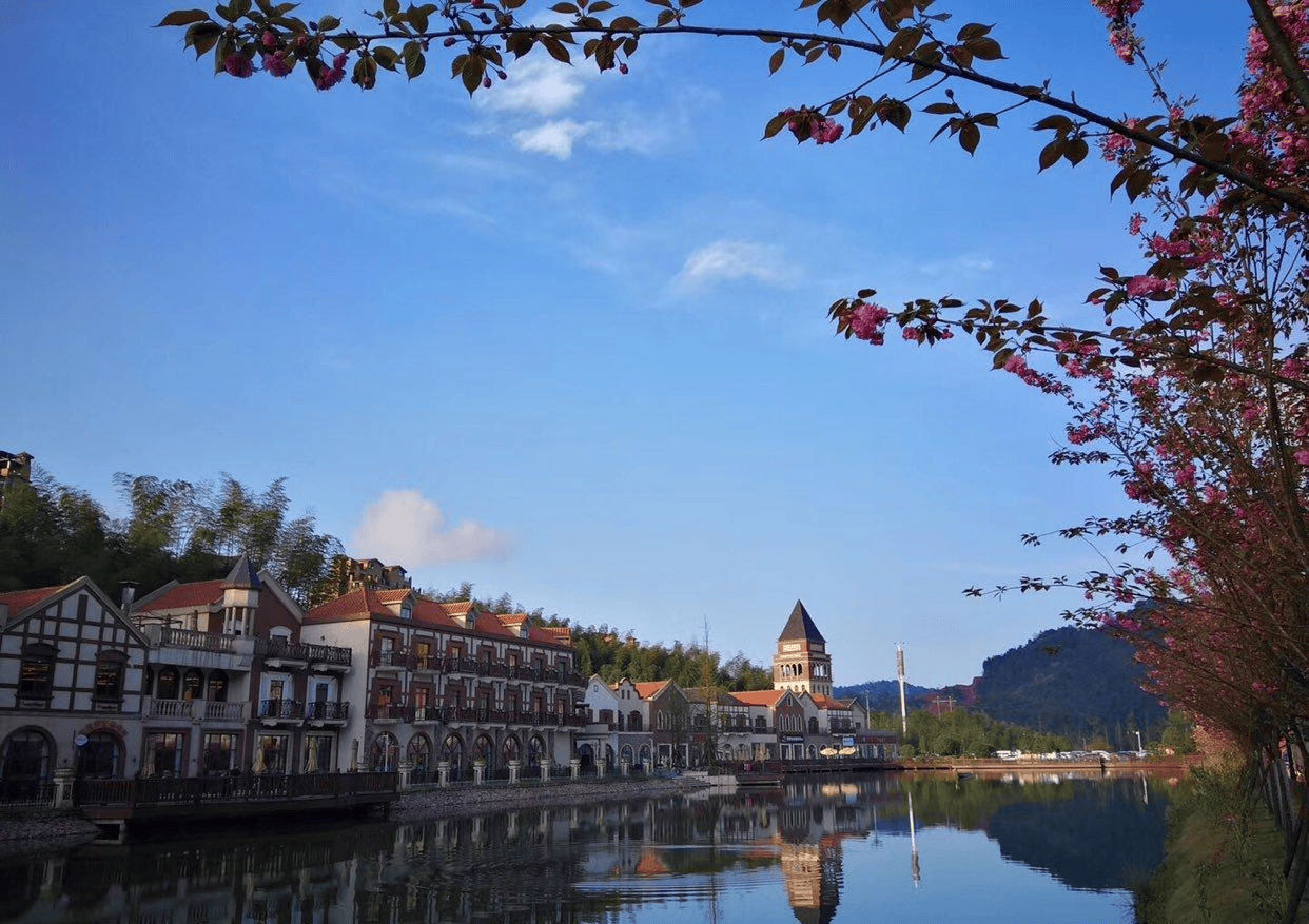 这里不但有大量的避暑房,还有众多的各种民宿,客栈和酒店,今年夏天