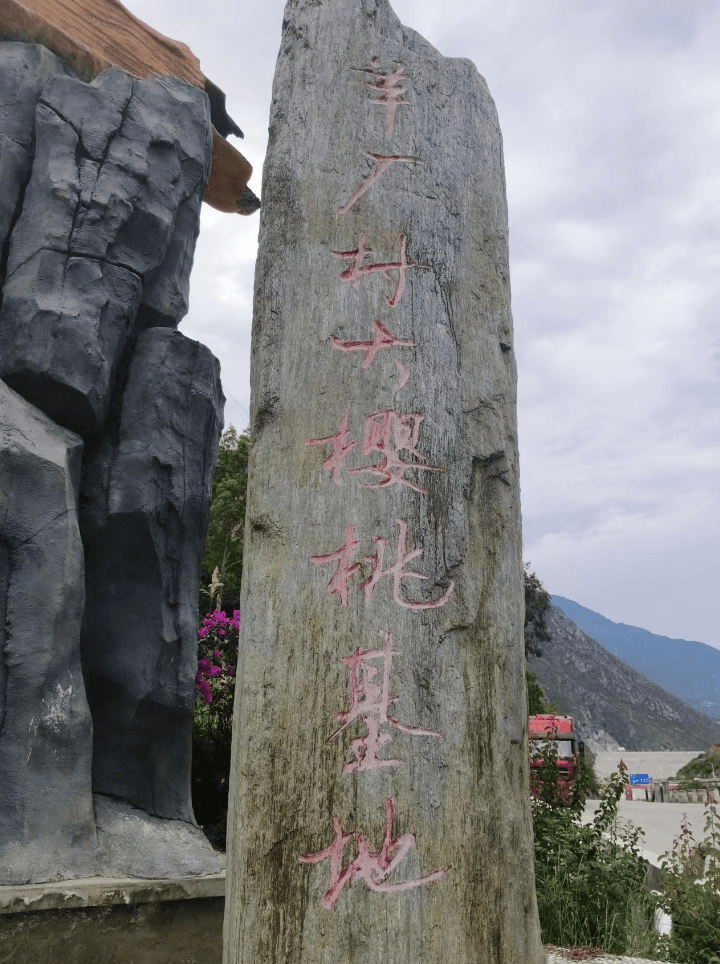 康定大樱桃正当季 "莲花甄选"助力果农增收_种植_姑咱镇_羊厂