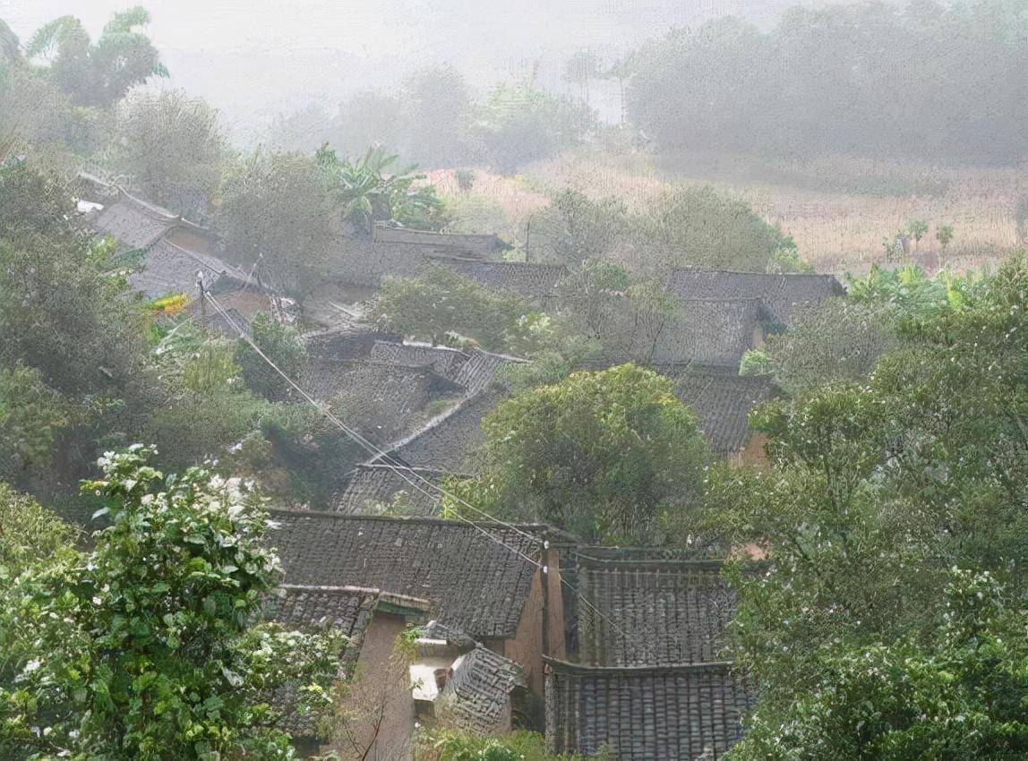 "夺命寡妇村":村中壮年男人接连离奇死亡,专家揭开神秘面纱