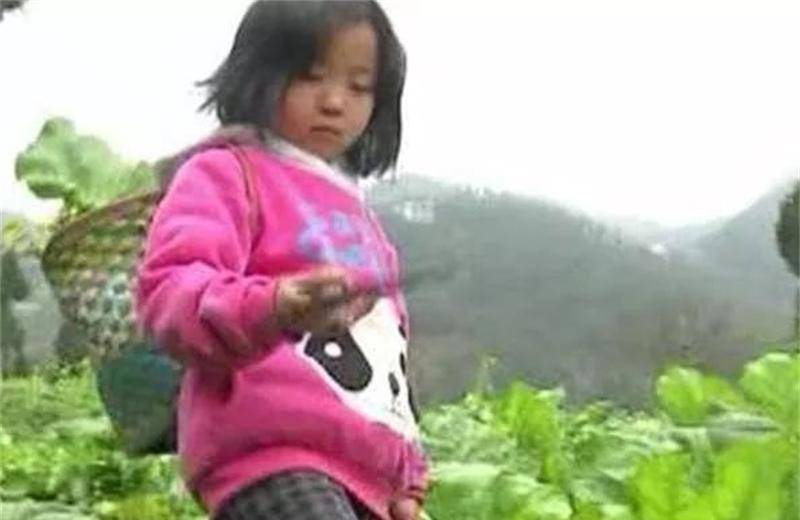 父亲坐牢母亲离家,6岁女孩撑起三代之家,13亿人为她点赞
