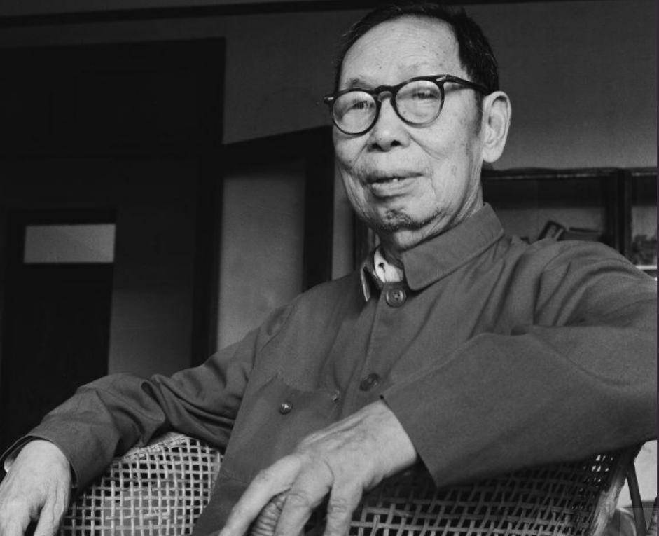 物理学家赵忠尧:沦为乞丐,被迫乞讨,培养出的学生却家喻户晓_实验_中