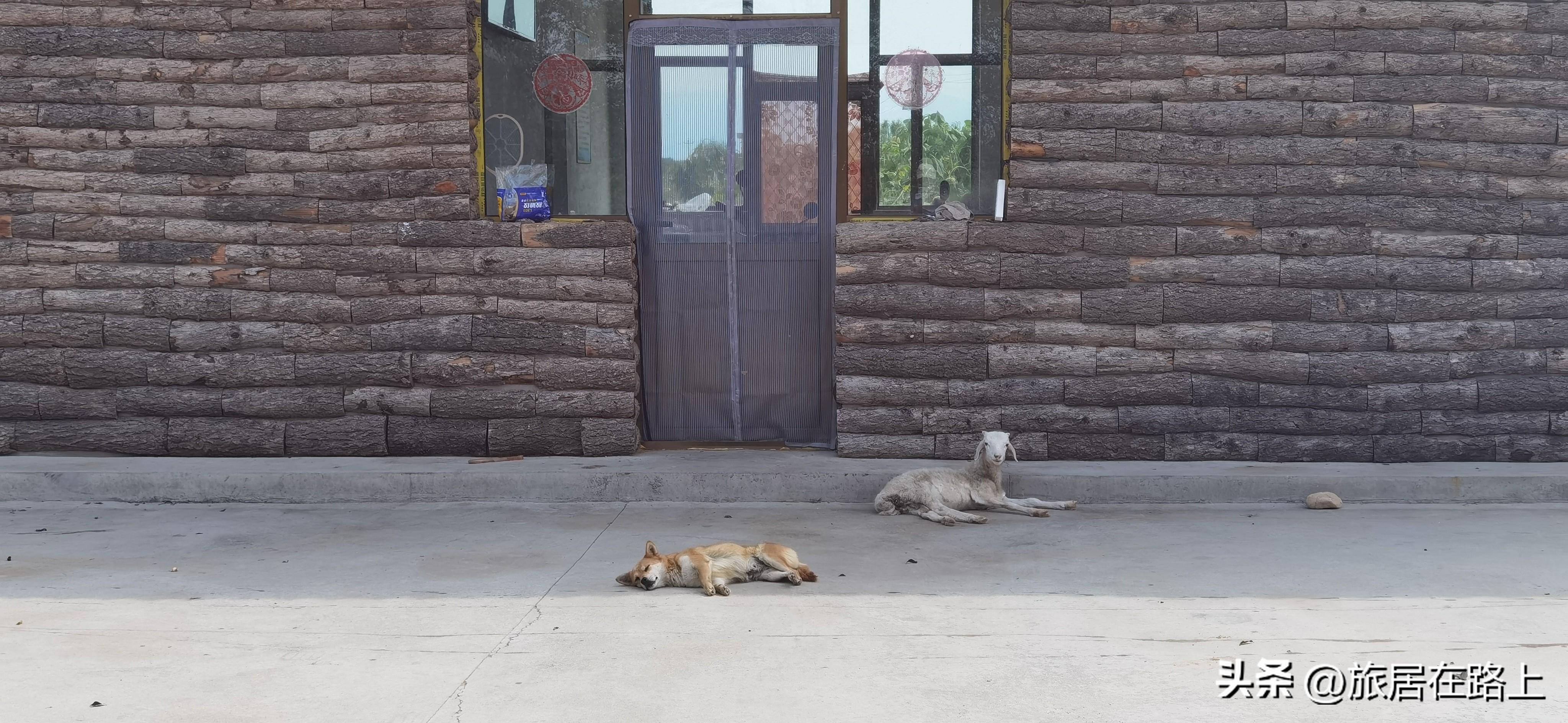 晋北自驾游的旅行日记,走马观花一日达