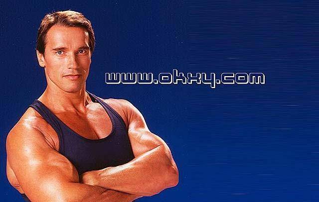 2012年施瓦辛格回忆录透露:曾和家中女佣有染,还育有一子_玛丽娅_健美