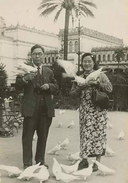 他大度忍让,但妻子愿意回归家庭时已身败名裂_凌淑华_陈西滢_朱利安